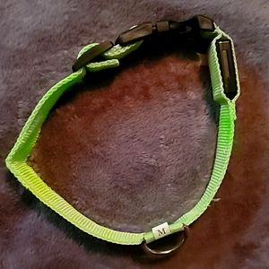 New Nylon Glow-In-the-dark LED dog collar.
